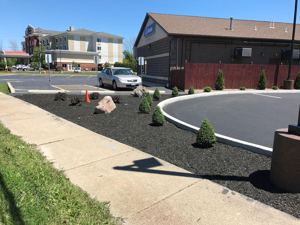 Landscaping Mr. Ventry's Pizza by Mike Sinatra Landscaping and Snow Plowing